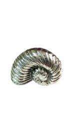 Σαλιγκάρι από αλουμίνιο